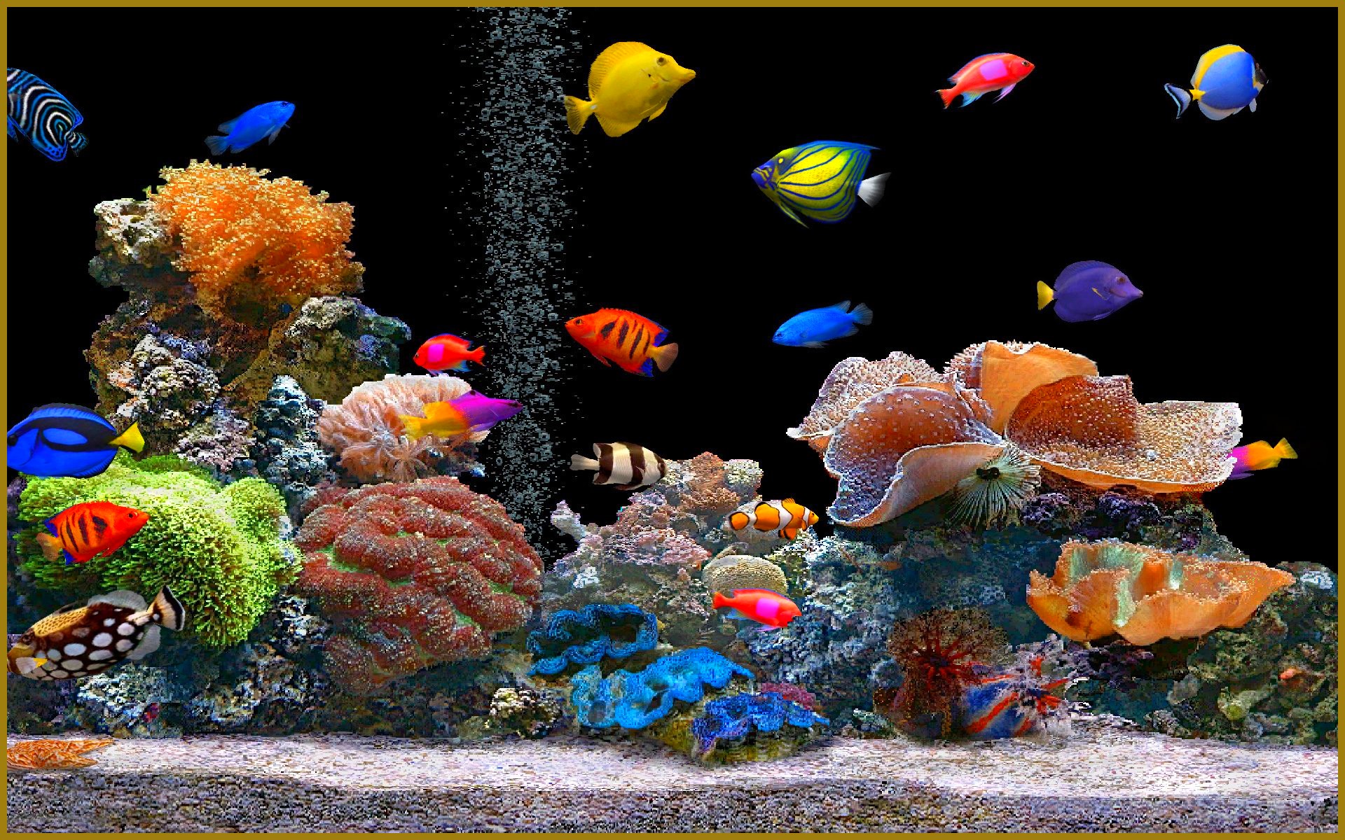 Un aquarium feng shui