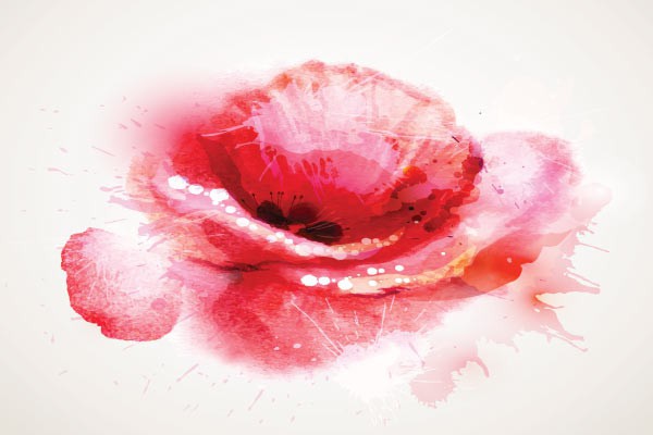 Fleur idylle rencontre