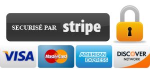 logo paiement stripe