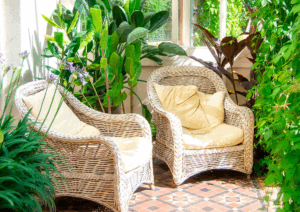 jardin d'hiver feng shui entouré de plantes vertes dépolluantes pour un air purifié et une ambiance zen